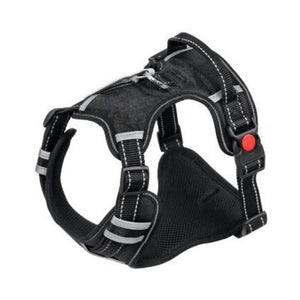 No-pull Dog Harness - PetsandGadgets