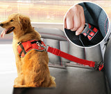 Dog Collars & Seat Belt - PetsandGadgets