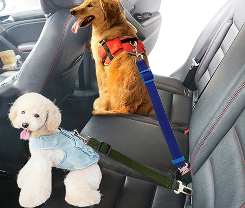 Dog Collars & Seat Belt - PetsandGadgets