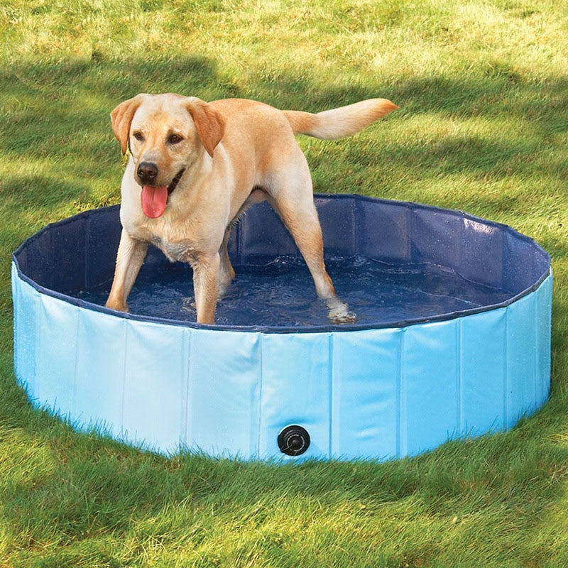 Foldable Dog Swimming Pool - PetsandGadgets
