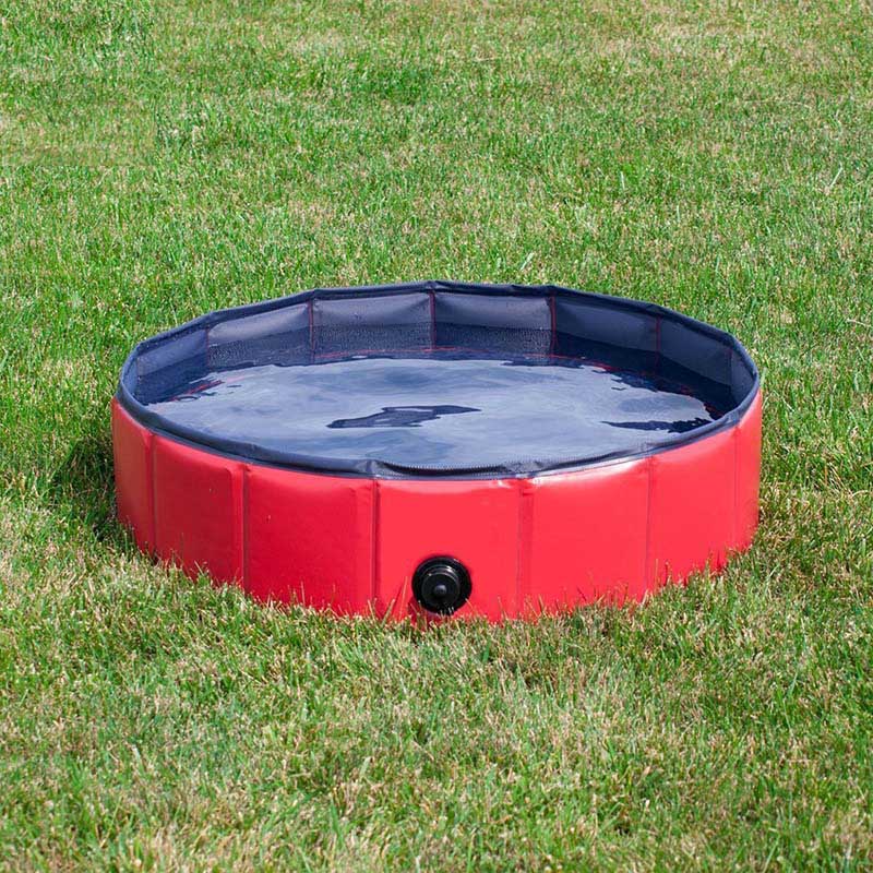 Foldable Dog Swimming Pool - PetsandGadgets