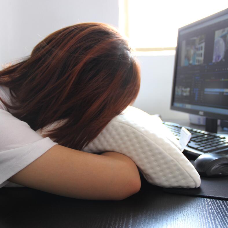 Slow Rebound Pressure Pillow - PetsandGadgets