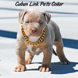 Cuban Link pets collar - PetsandGadgets