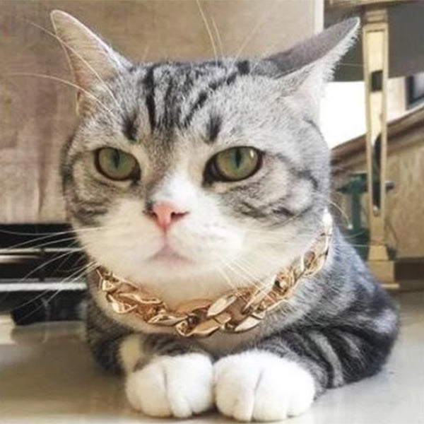Cuban Link pets collar - PetsandGadgets