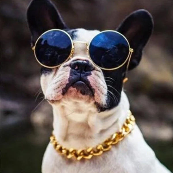 Cuban Link pets collar - PetsandGadgets