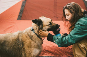 Outdoor Pet Mug - PetsandGadgets