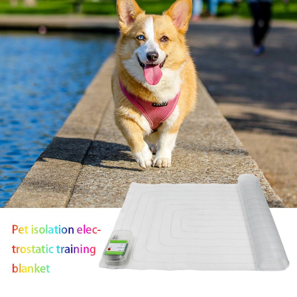 Indoor Static Mat - PetsandGadgets