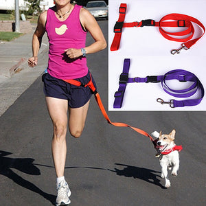 Pet Dog Waist Leash Traction Rope - PetsandGadgets