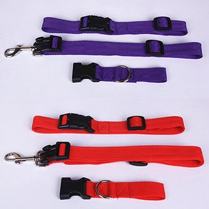 Pet Dog Waist Leash Traction Rope - PetsandGadgets