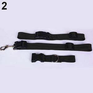 Pet Dog Waist Leash Traction Rope - PetsandGadgets