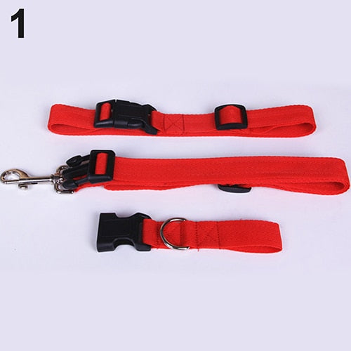 Pet Dog Waist Leash Traction Rope - PetsandGadgets