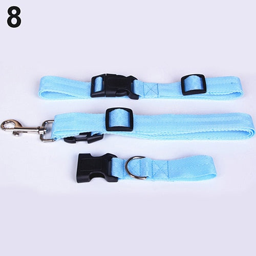 Pet Dog Waist Leash Traction Rope - PetsandGadgets