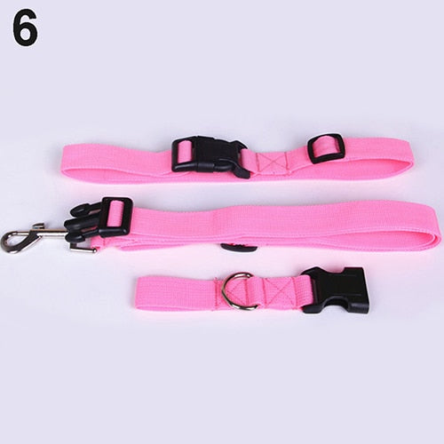Pet Dog Waist Leash Traction Rope - PetsandGadgets
