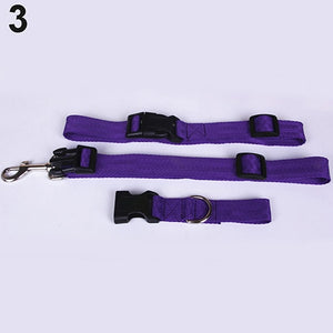 Pet Dog Waist Leash Traction Rope - PetsandGadgets