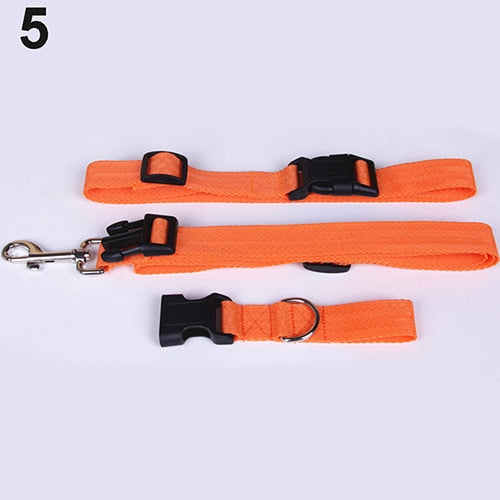 Pet Dog Waist Leash Traction Rope - PetsandGadgets