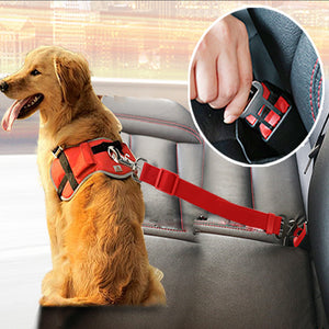 Dog Collars & Seat Belt - PetsandGadgets