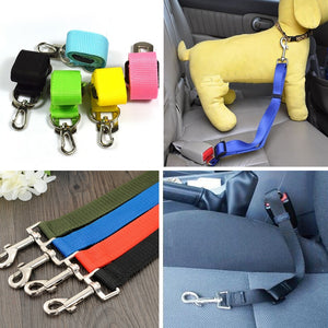 Dog Collars & Seat Belt - PetsandGadgets