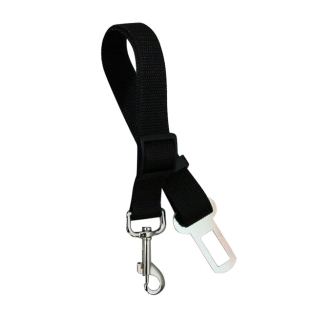 Dog Collars & Seat Belt - PetsandGadgets
