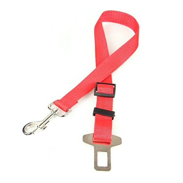 Dog Collars & Seat Belt - PetsandGadgets