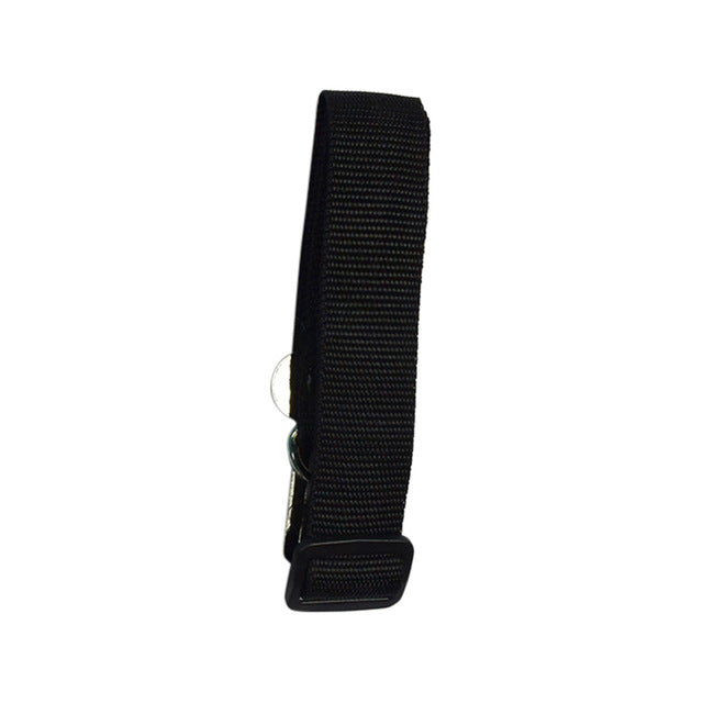 Dog Collars & Seat Belt - PetsandGadgets