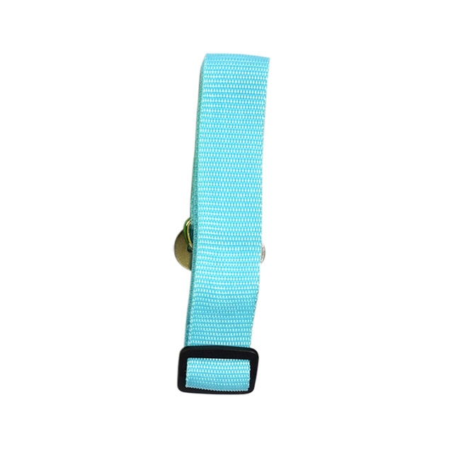 Dog Collars & Seat Belt - PetsandGadgets
