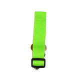 Dog Collars & Seat Belt - PetsandGadgets