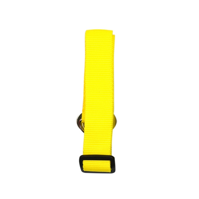 Dog Collars & Seat Belt - PetsandGadgets