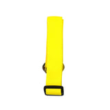 Dog Collars & Seat Belt - PetsandGadgets
