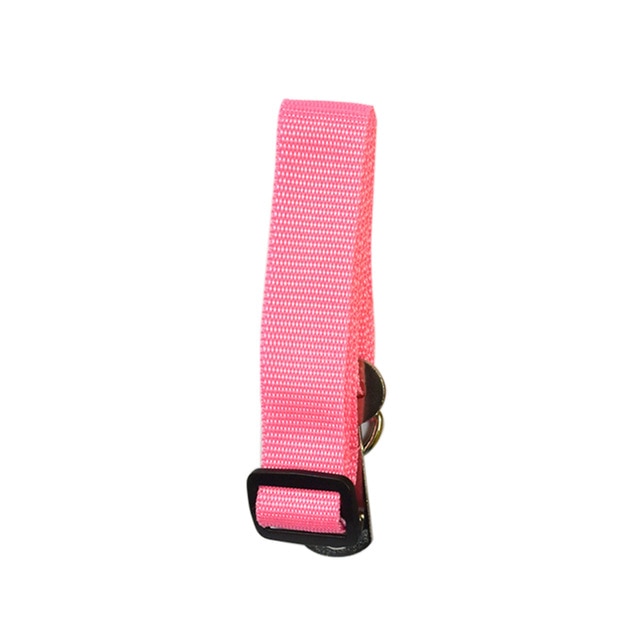 Dog Collars & Seat Belt - PetsandGadgets