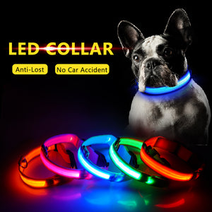 LED Dog Collars - PetsandGadgets