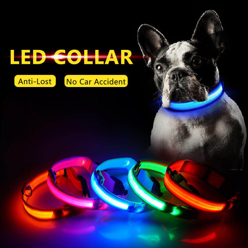 LED Dog Collars - PetsandGadgets