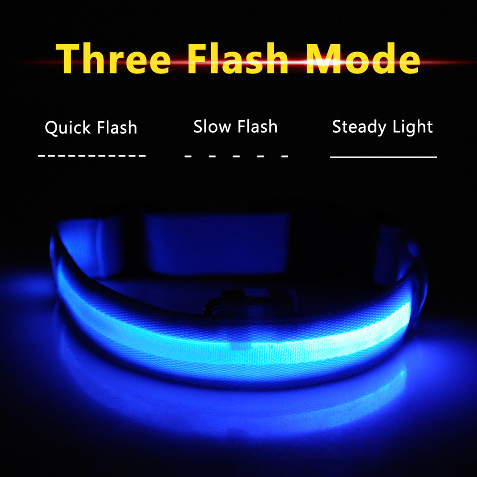 LED Dog Collars - PetsandGadgets