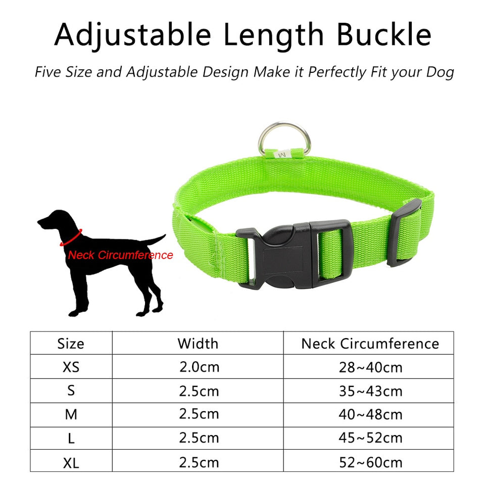 LED Dog Collars - PetsandGadgets