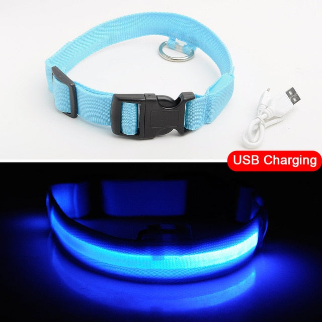 LED Dog Collars - PetsandGadgets