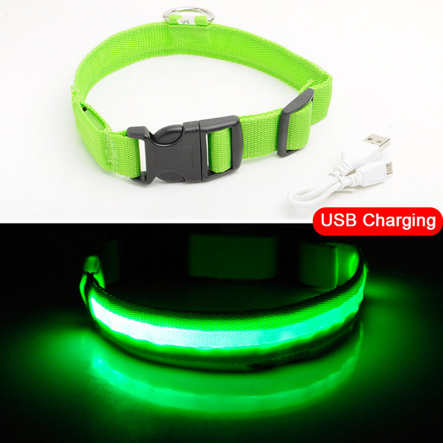 LED Dog Collars - PetsandGadgets