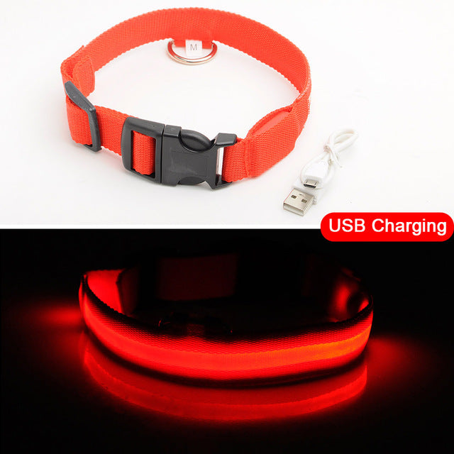 LED Dog Collars - PetsandGadgets
