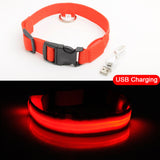 LED Dog Collars - PetsandGadgets