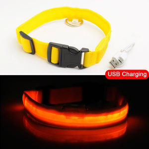 LED Dog Collars - PetsandGadgets
