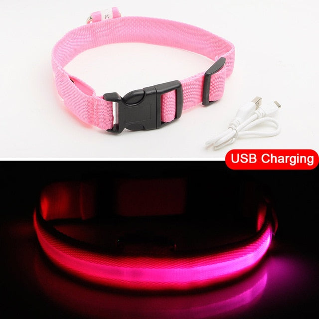 LED Dog Collars - PetsandGadgets