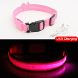 LED Dog Collars - PetsandGadgets
