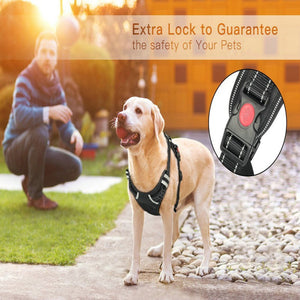 No-pull Dog Harness - PetsandGadgets