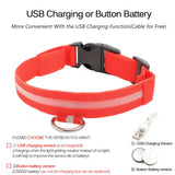 LED Dog Collars - PetsandGadgets