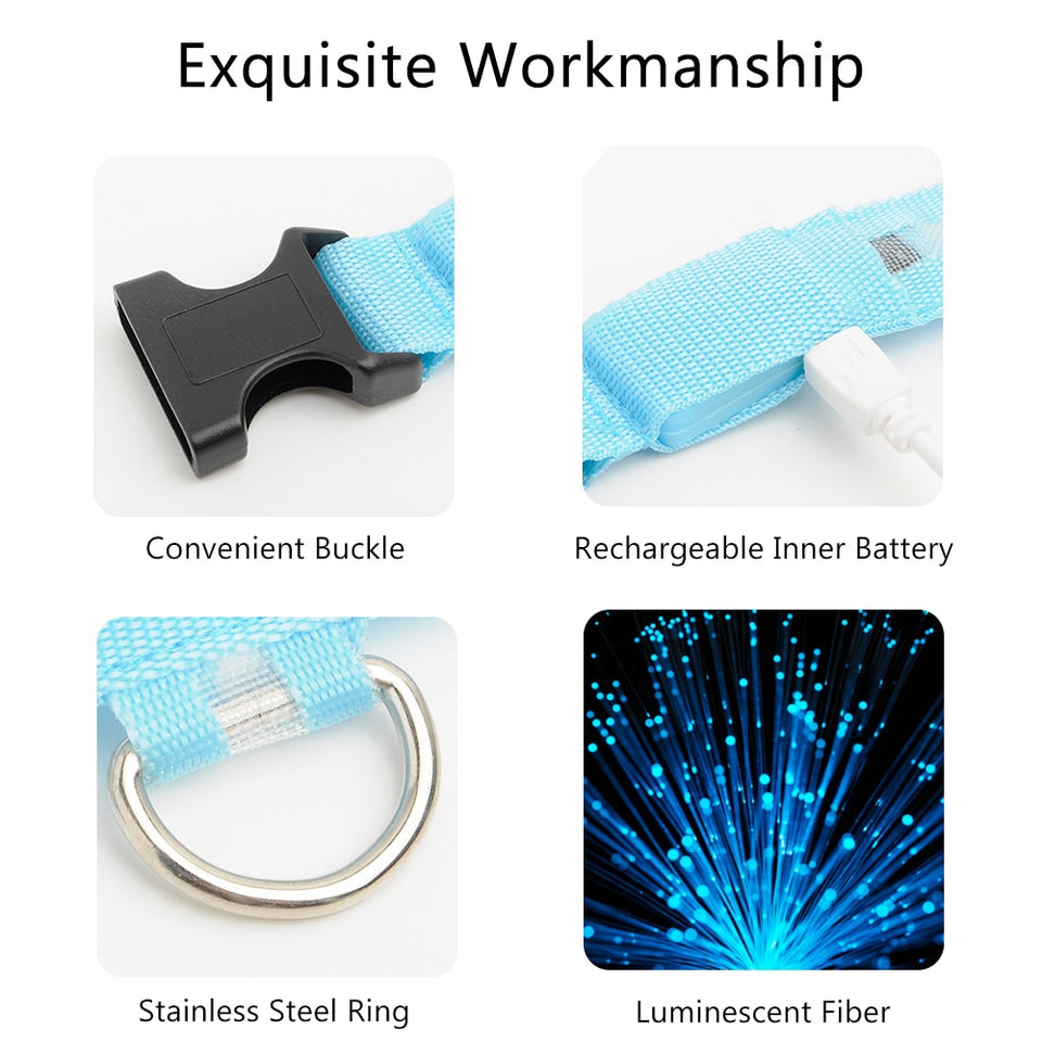 LED Dog Collars - PetsandGadgets