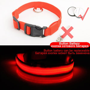 LED Dog Collars - PetsandGadgets