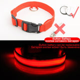 LED Dog Collars - PetsandGadgets