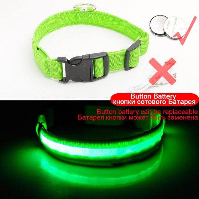 LED Dog Collars - PetsandGadgets