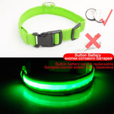 LED Dog Collars - PetsandGadgets
