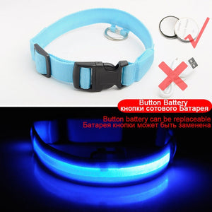 LED Dog Collars - PetsandGadgets