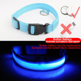 LED Dog Collars - PetsandGadgets
