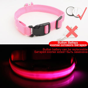 LED Dog Collars - PetsandGadgets